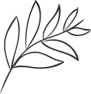 slider img-03