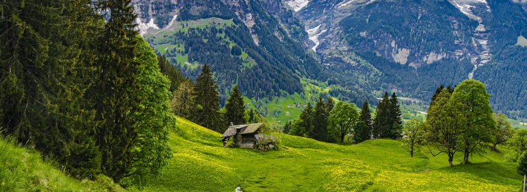 Wander often, wonder always