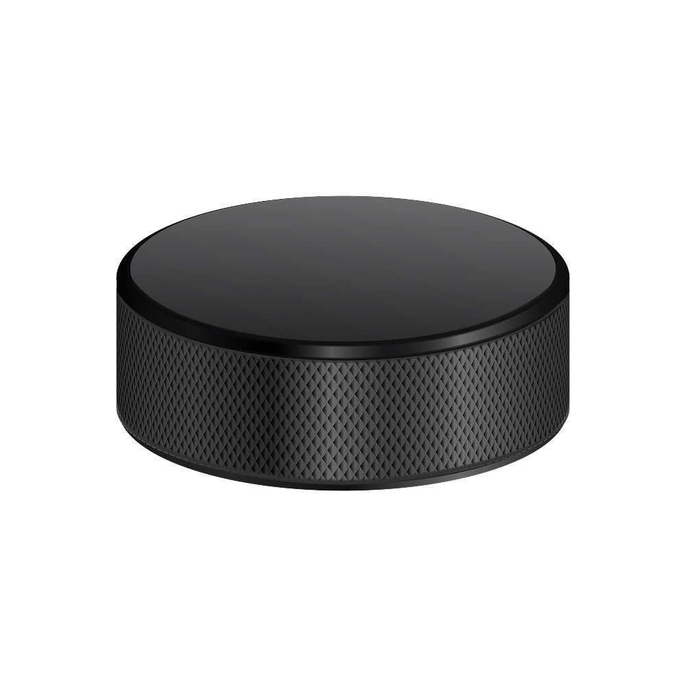 Hockey puck