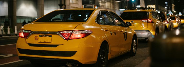 The best views are from the backseat