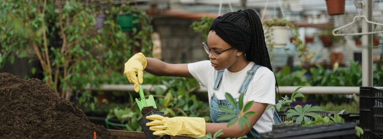 Bloom where you’re planted