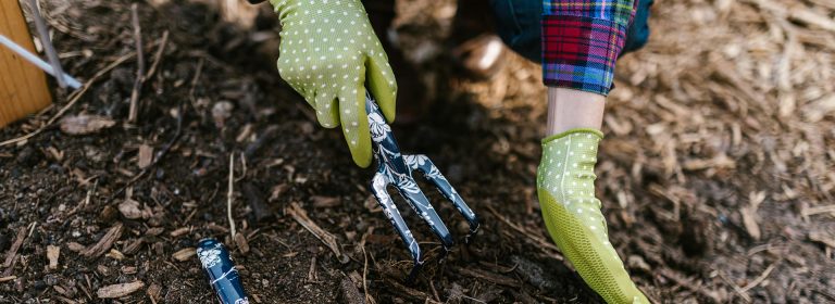 Plant today, bloom tomorrow