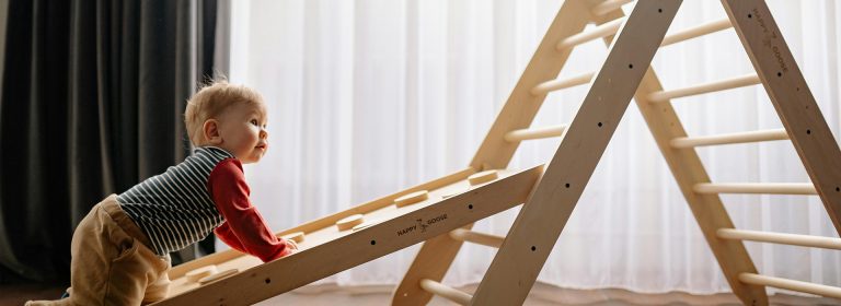 Toys that spark curiosity and warm the heart