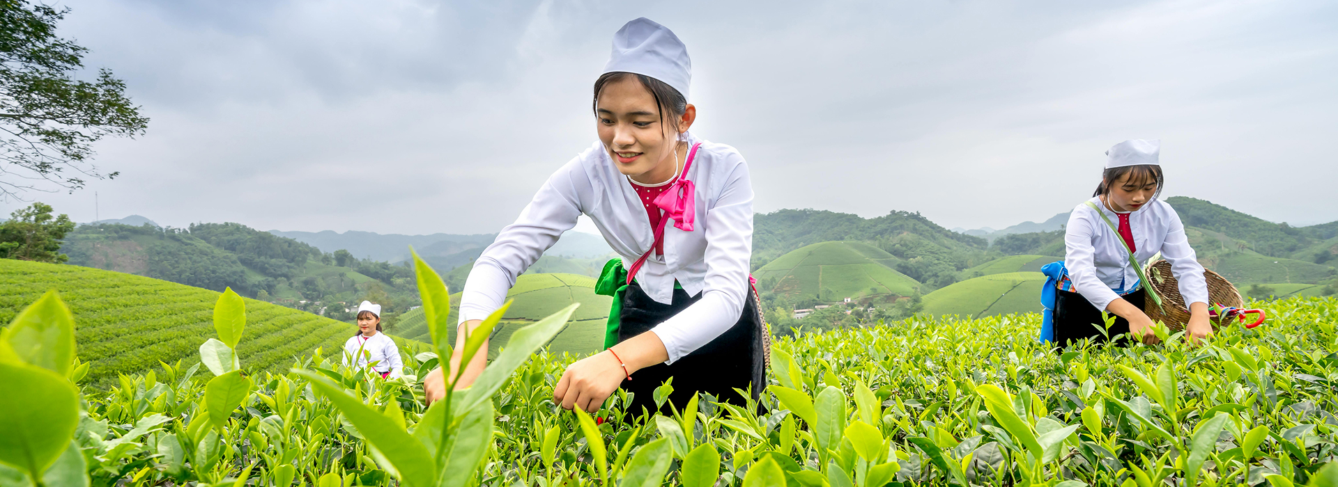 blog-6