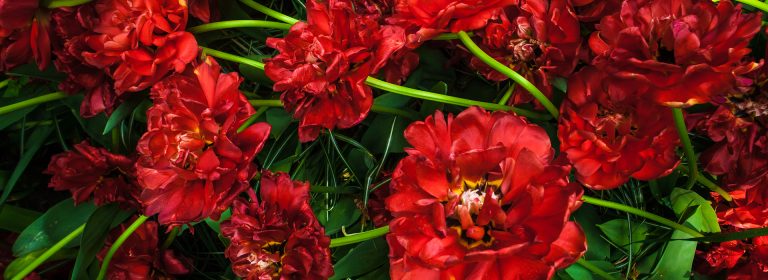 blog-01