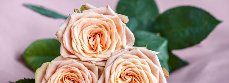 blog-02