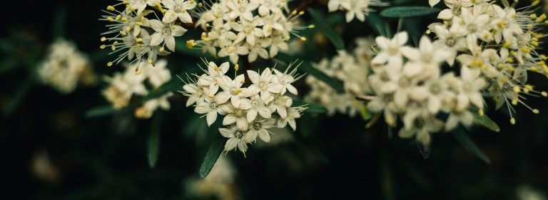 blog-6